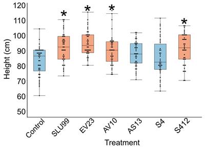 Comparative transcriptome profiling provides insights into the growth promotion activity of Pseudomonas fluorescens strain SLU99 in tomato and potato plants